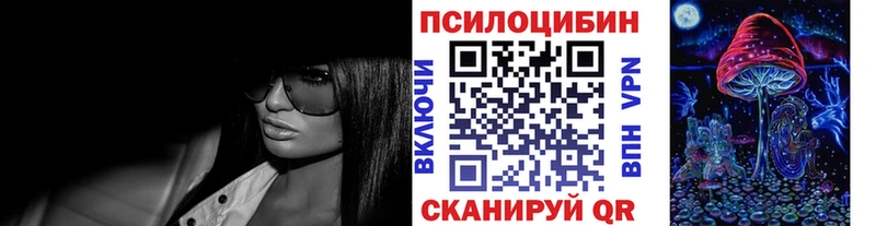 где продают наркотики Дмитровск blacksprut как войти Галлюциногенные грибы Psilocybine cubensis